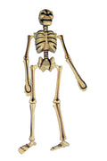 Skeleton Hanging 95cm
