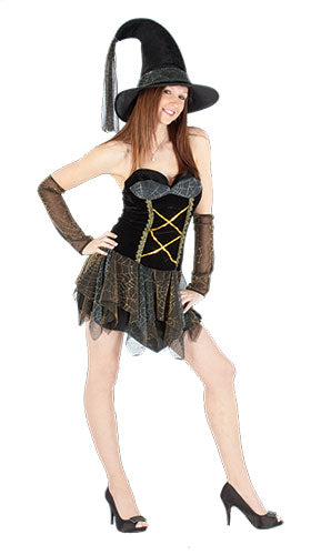 Wickedfun Spell bound Costume